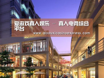 案例展示一(图1)