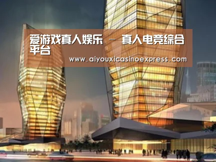 案例展示三